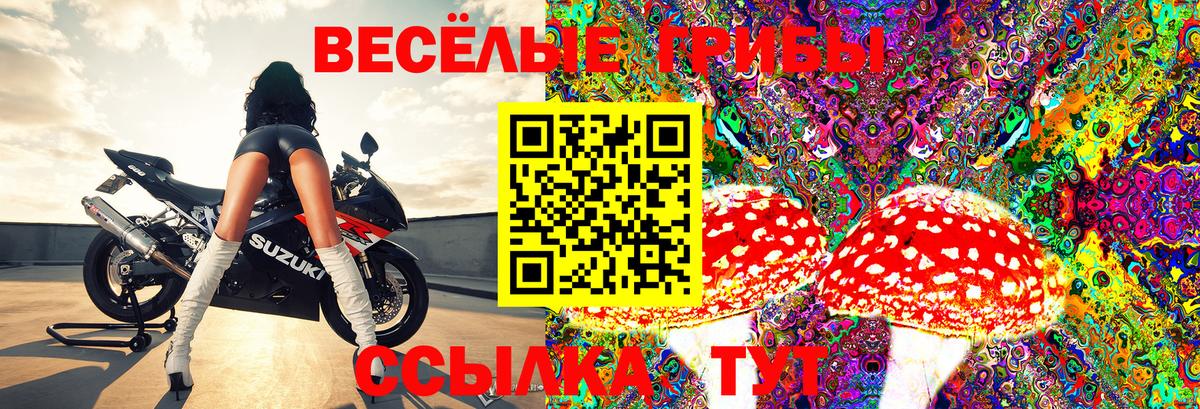 Галлюциногенные грибы мицелий Нальчик